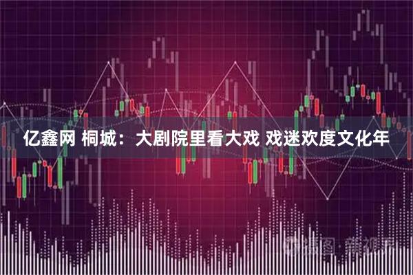 亿鑫网 桐城：大剧院里看大戏 戏迷欢度文化年