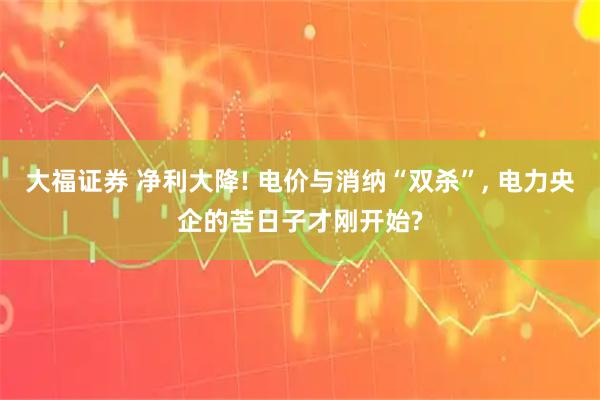 大福证券 净利大降! 电价与消纳“双杀”, 电力央企的苦日子才刚开始?