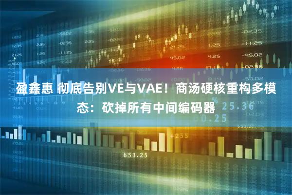 盈鑫惠 彻底告别VE与VAE！商汤硬核重构多模态：砍掉所有中间编码器
