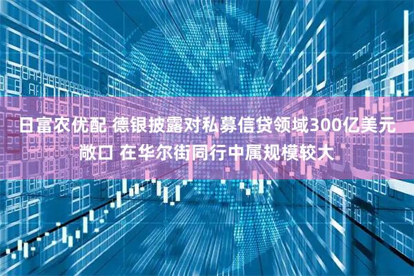 日富农优配 德银披露对私募信贷领域300亿美元敞口 在华尔街同行中属规模较大